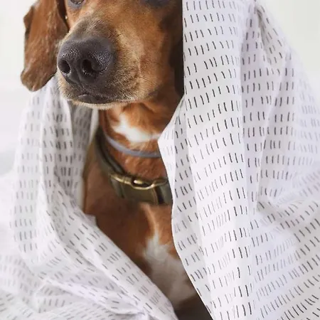 Mistral St Julians Affiliated By Melia San Ġiljan